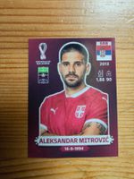 Panini WM 2022-SRB 18