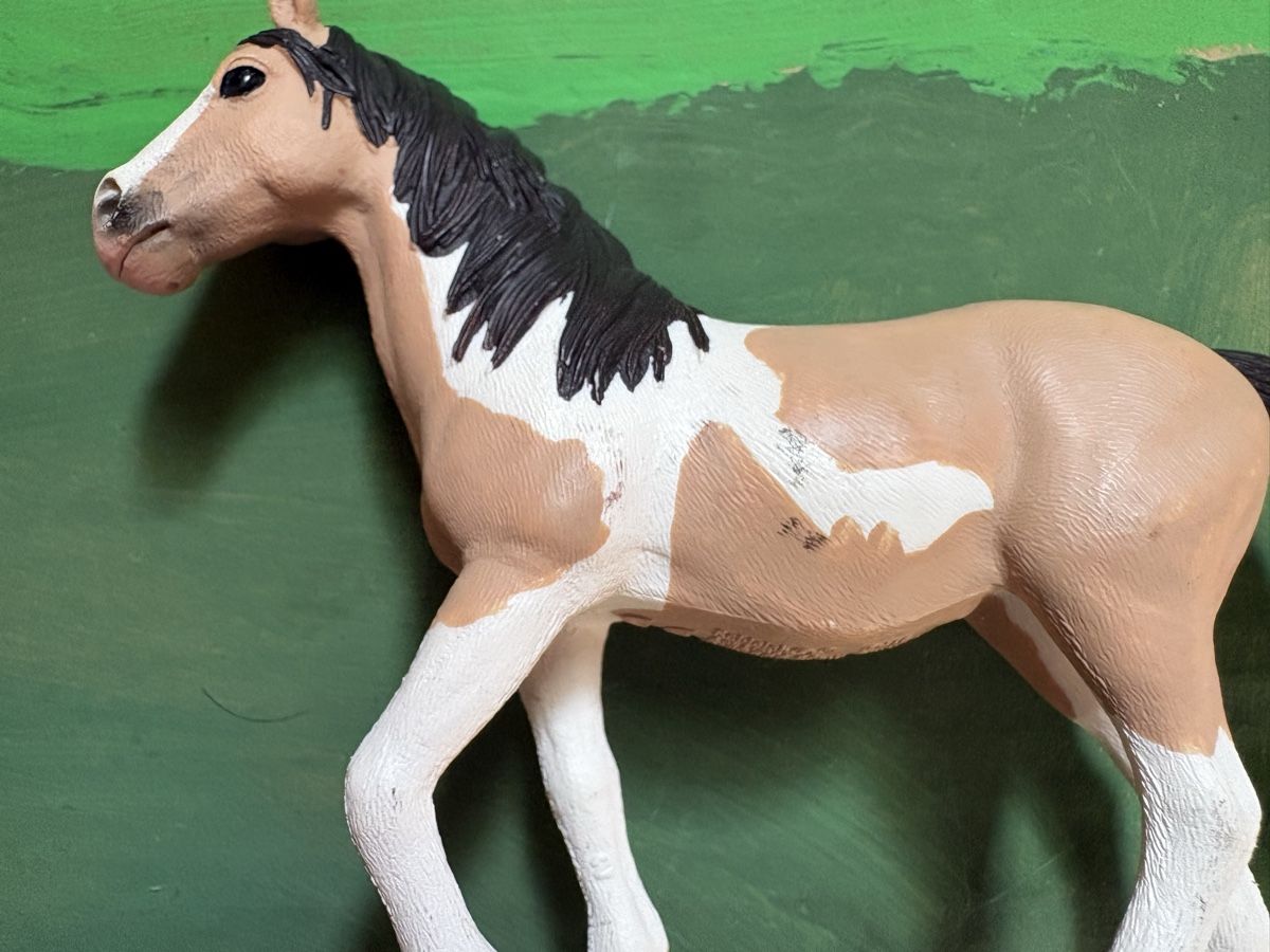 Schleich Giocattoli: SCHLEICH Sarahs Campingausflug – Usato da Deitingen venduto da Cortaderia79 2