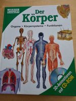 Wissen kompakt: Mein Körper (ohne CD)