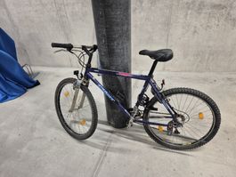 Great Mountain Bike ready for the next adventure