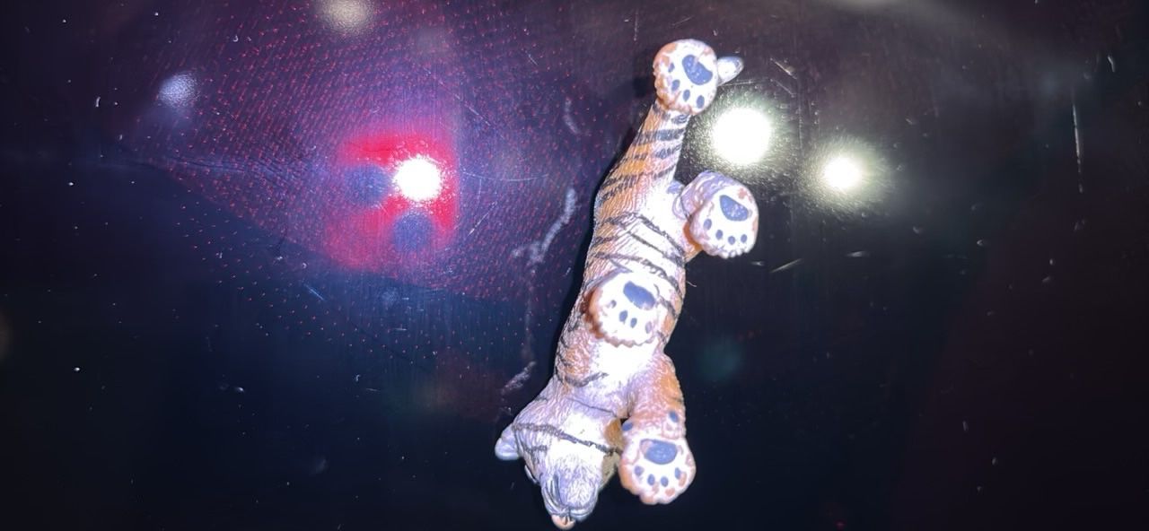 Schleich Spielzeuge: Schleich Tiger Baby 7 cm – Gebraucht aus Arbedo von nadia1973 5