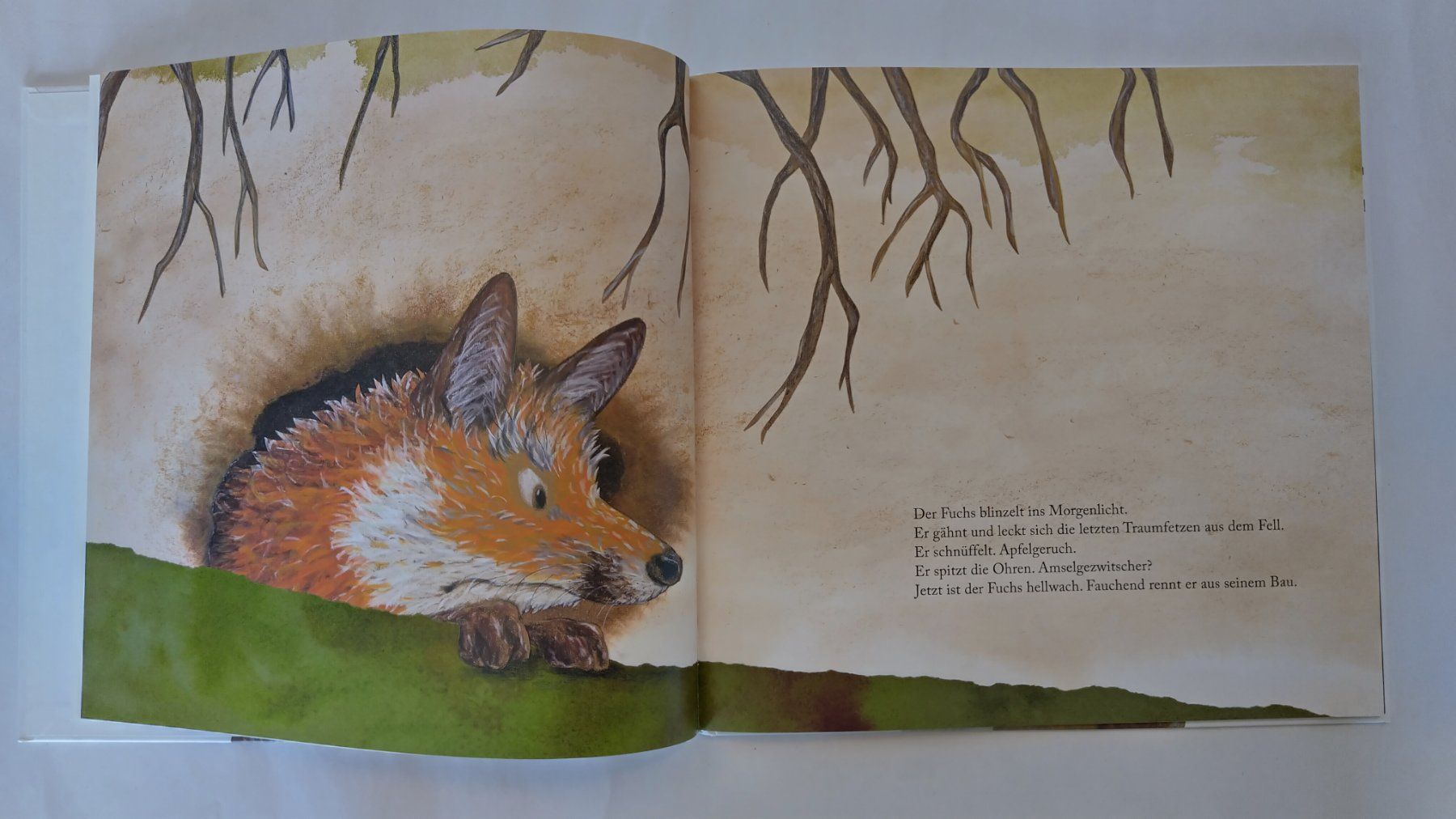 Libri: Kathrin Schärer - Der Tod auf dem Apfelbaum / Bilderbuch – Usato da Bellach venduto da JingleJerry 3