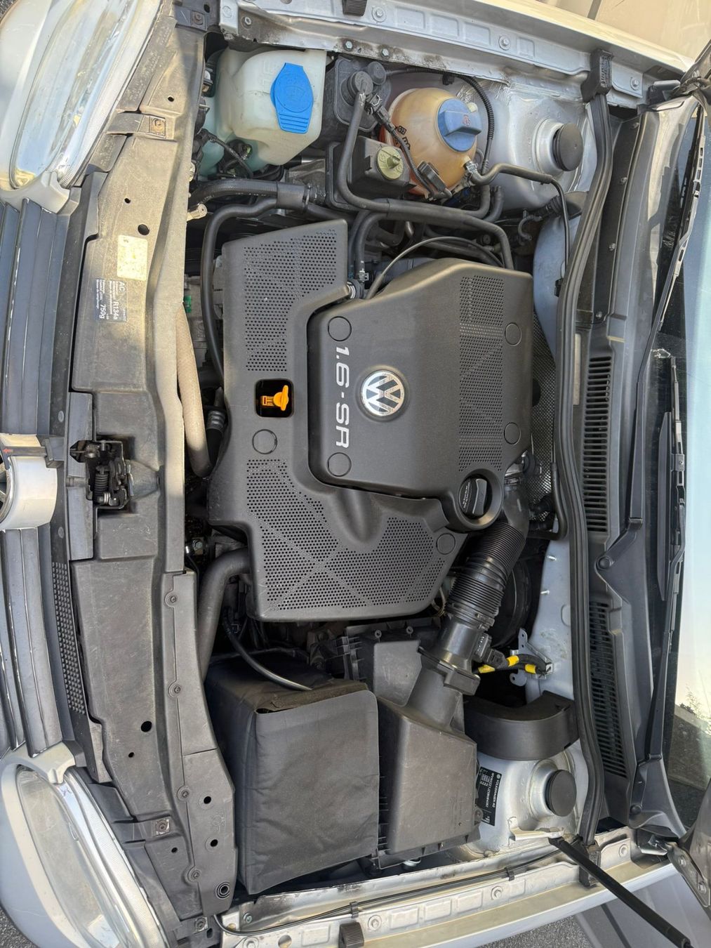 VW Automobili: VW Golf 1.6 Trendline – Usato da Brugg AG venduto da olegona77 1
