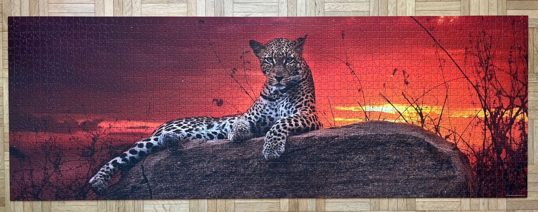 Heye Puzzle: Panorama Puzzle Leopard 2000 Teile - Edition Humboldt – Usato da Zürich venduto da Gurkis