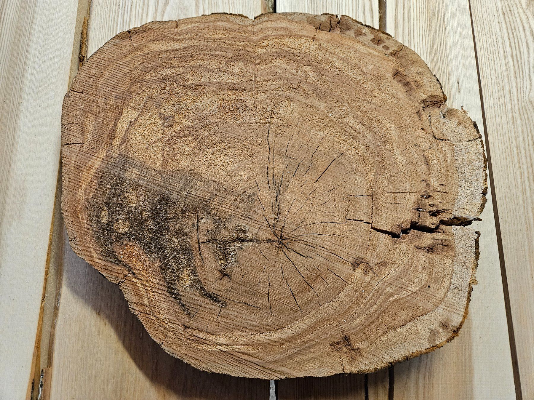 Holzartikel: Baumscheibe Kirschbaum Holz – Neu (gemäss Beschreibung) aus Schangnau von egli6.2