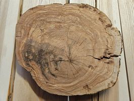 Baumscheibe Kirschbaum Holz