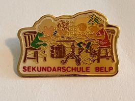 1 Pin Sekundarschule Belp