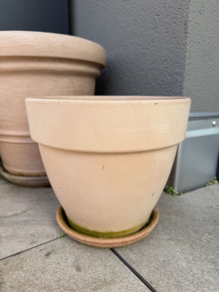 Vasi per fiori: Terrakotta-Topf 24cm – Usato da Zürich venduto da Barney156