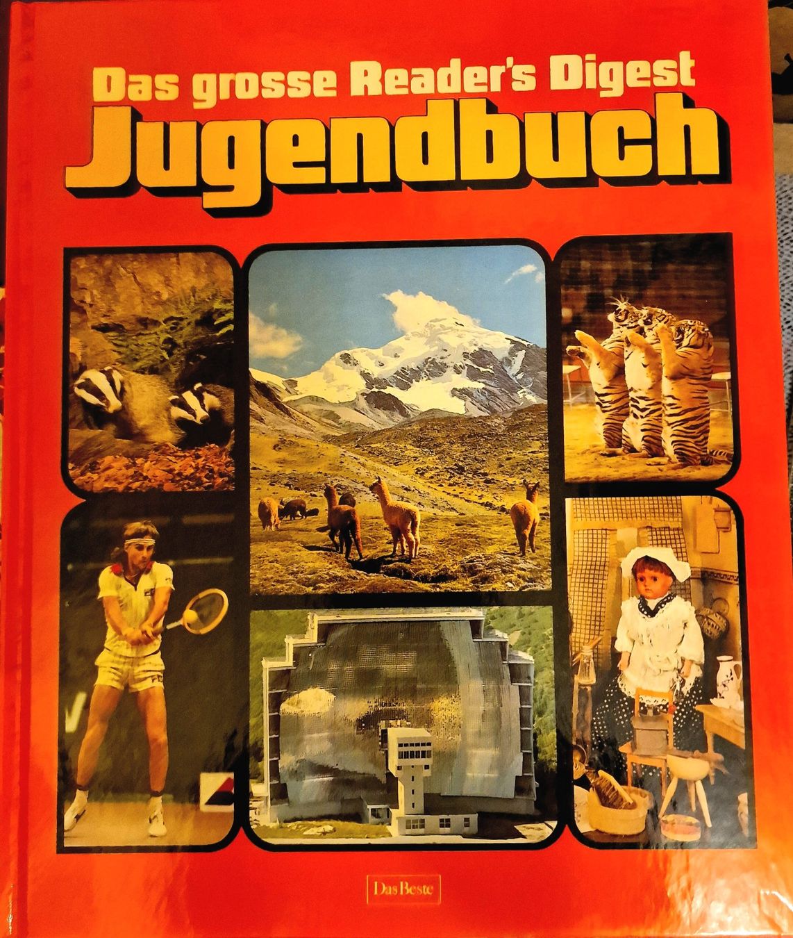 Libri: Das grosse Reader's Digest Jugendbuch 1-5 – Usato da Winterthur venduto da Versus0 2