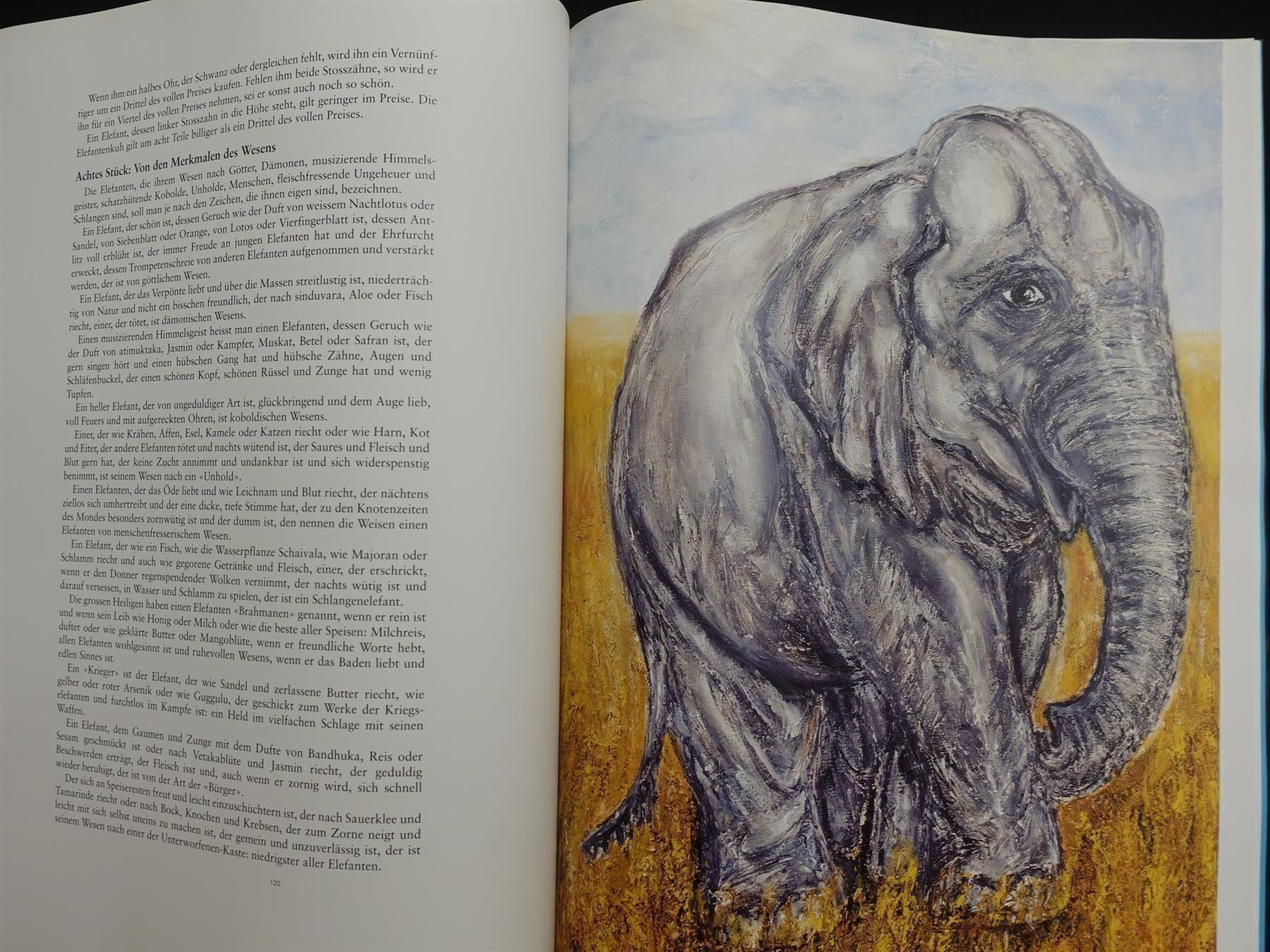 Libri: Faszinosum Elefant mit CD / Dimitri u.a. – Usato da Gutenswil venduto da Optico