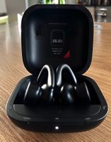 Beats Powerbeats Pro..Kopfhörer mit Ladecase..Top Zustand..