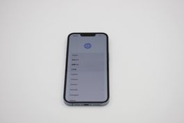 APPLE iPhone 13 Pro iCloud gesperrt (24042904)