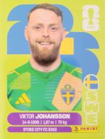 Panini FIFA World Cup SWE 2