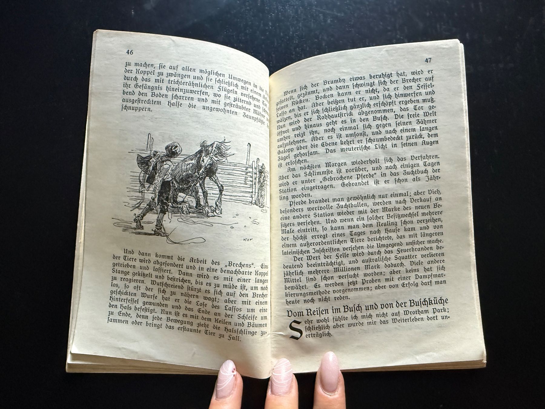 Bücher: Im Australischen Busch – Gebraucht aus Erstfeld von Mario_boe0 5