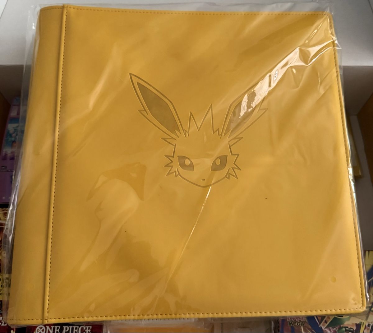 Pokémon Carte collezionabili: Pokemon - Blitza Binder – Nuovo e nell'imballaggio originale da Winterthur venduto da Sarahmith97