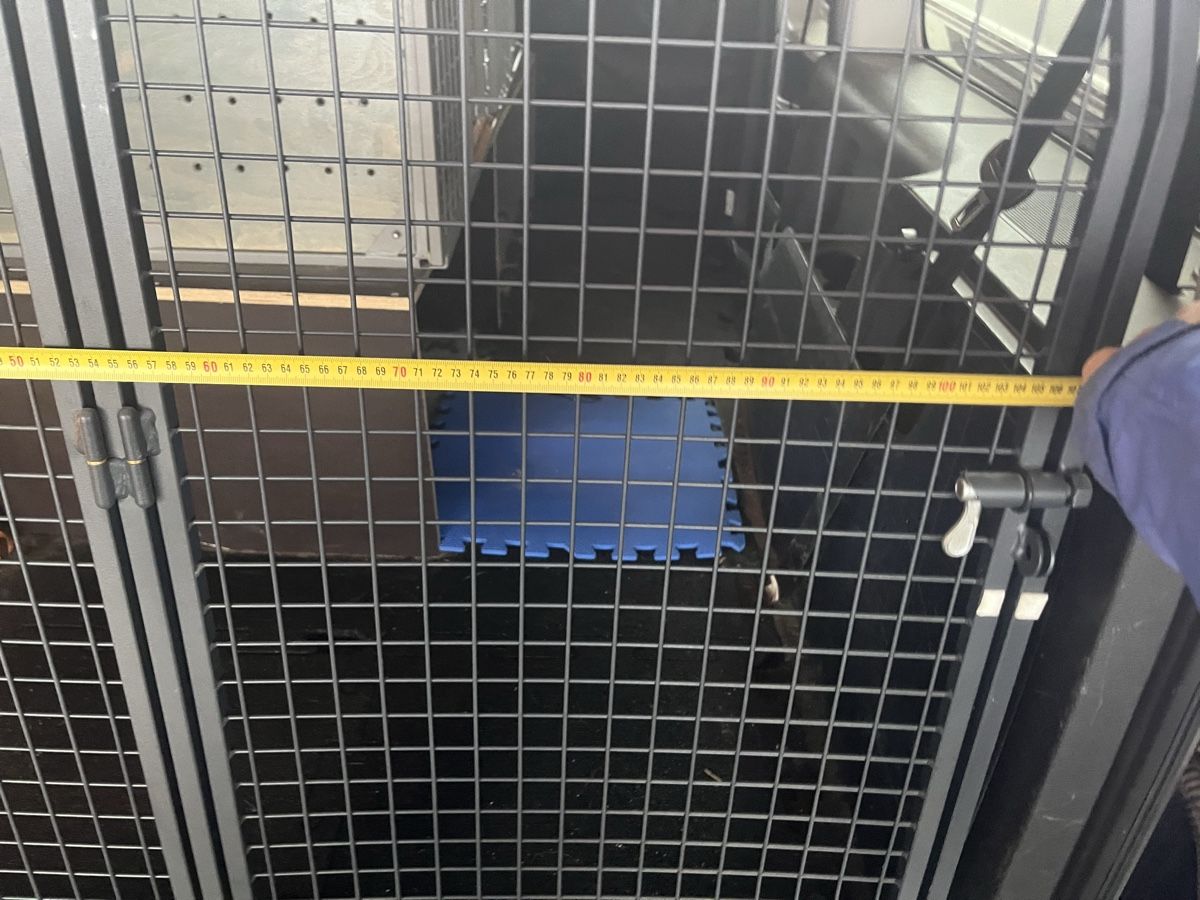 Gabbie, trasporto & Sicurezza: Heckgitter für VW Caddy – Nuovo (secondo la descrizione) da Wiler b. Seedorf venduto da Ammonitlein 1