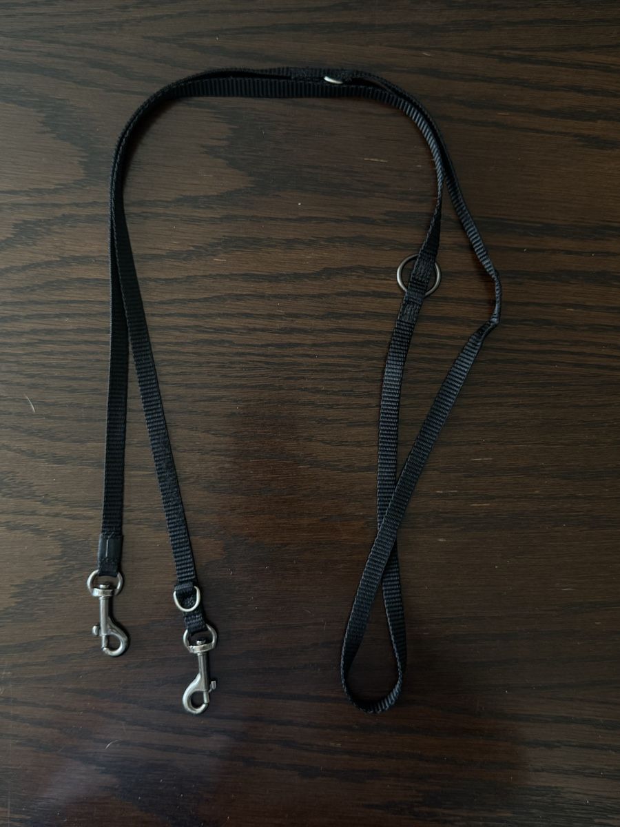 Leine & Halsband: Hundeleine 140cm – Gebraucht aus Binningen von Dan_Shachar