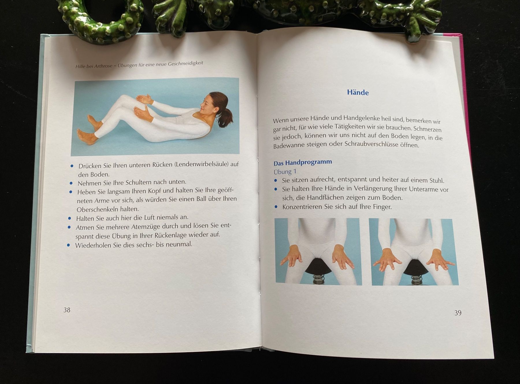 Libri: Hilfe bei Arthrose – Usato da Nussbaumen AG venduto da schuba2000 5