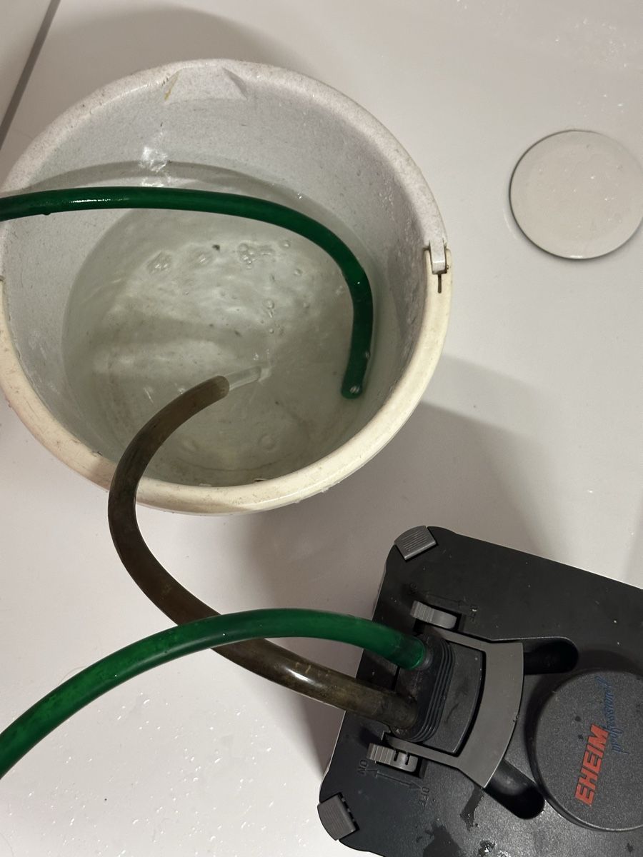 Eheim Filtri: Aussenfilter EHEIM professionel  – Usato da Freienwil venduto da sibmat_ 1
