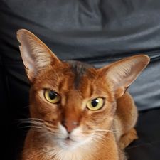 Profile image of mar_pjp5