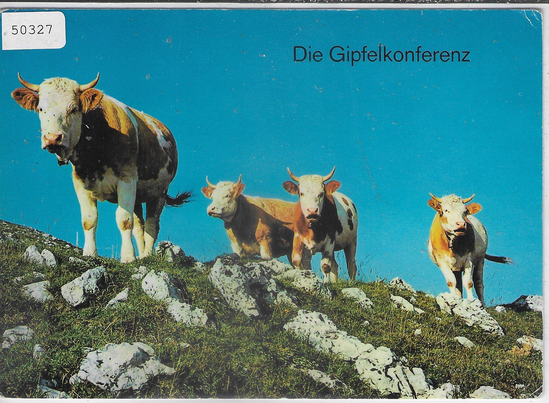 Ansichtskarten: Die Gipfelkonferenz - Kühe vaches – Gebraucht aus Ettingen von Kartenplanet