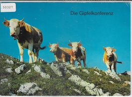 Die Gipfelkonferenz - Kühe vaches
