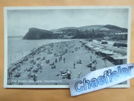 The Beach and Ness, Teignmouth   32