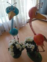 Paradiesvögel suchen ein neues Zuhause