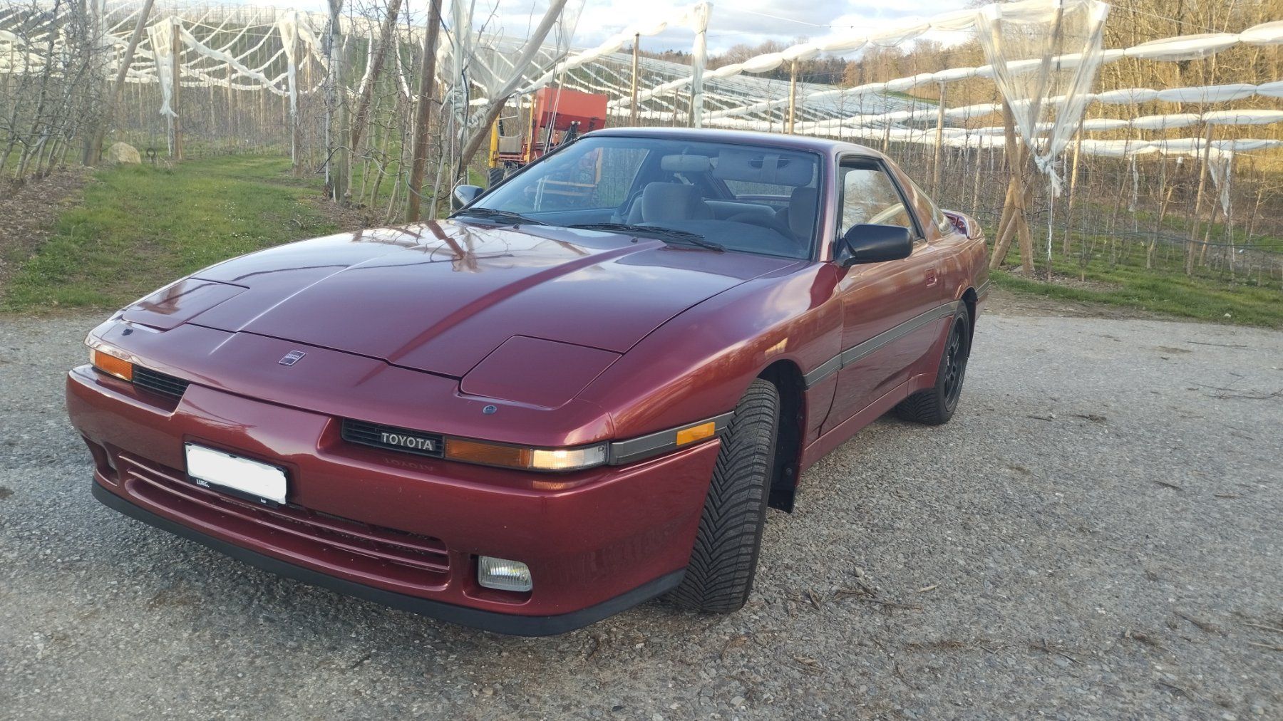 Toyota Automobili: Toyota Supra 3.0 Turbo – Usato da Cossonay-Ville venduto da Ya2win 4