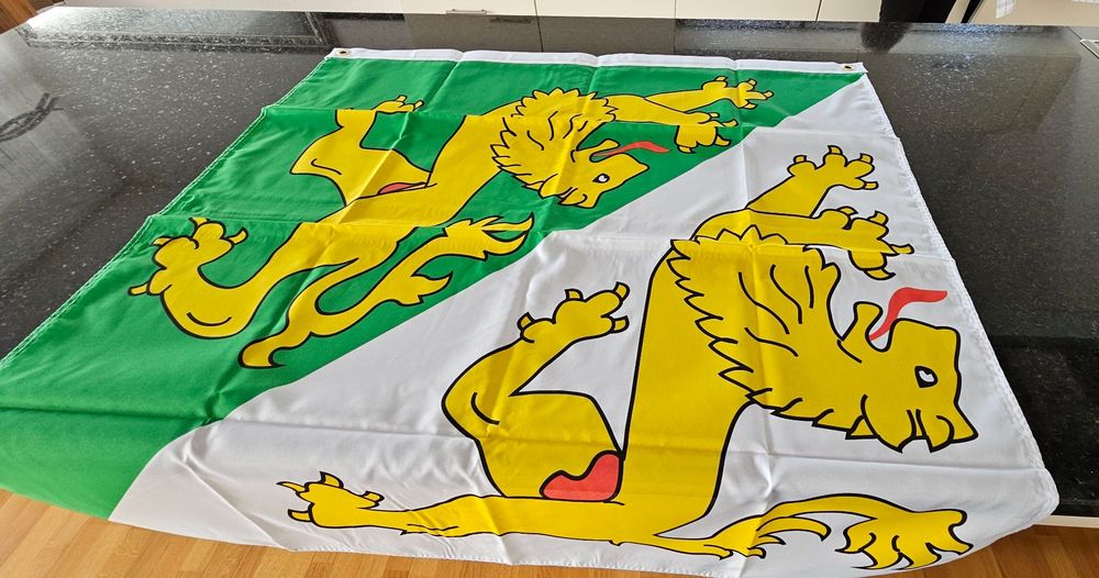 Fahnen: Thurgauer Kantonsflagge, Neu und Originalverpackt, 90x90cm – Neu und originalverpackt aus Kreuzlingen von UAE 3