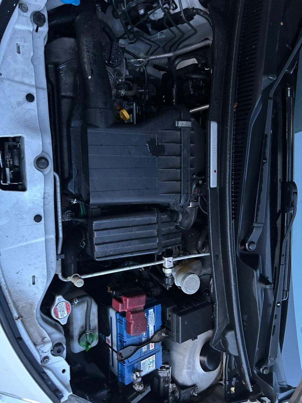 Suzuki Automobili: Suzuki Alto – Usato da Fislisbach venduto da honey_12 5
