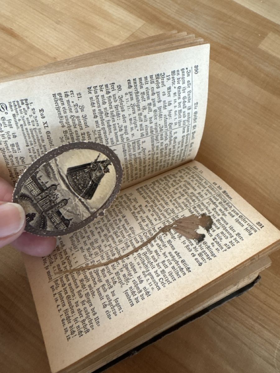 Libri: altes Buch / neues Testament von 1899 – Usato da Rümlang venduto da euqinom16 3
