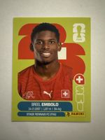 Panini WM 2026