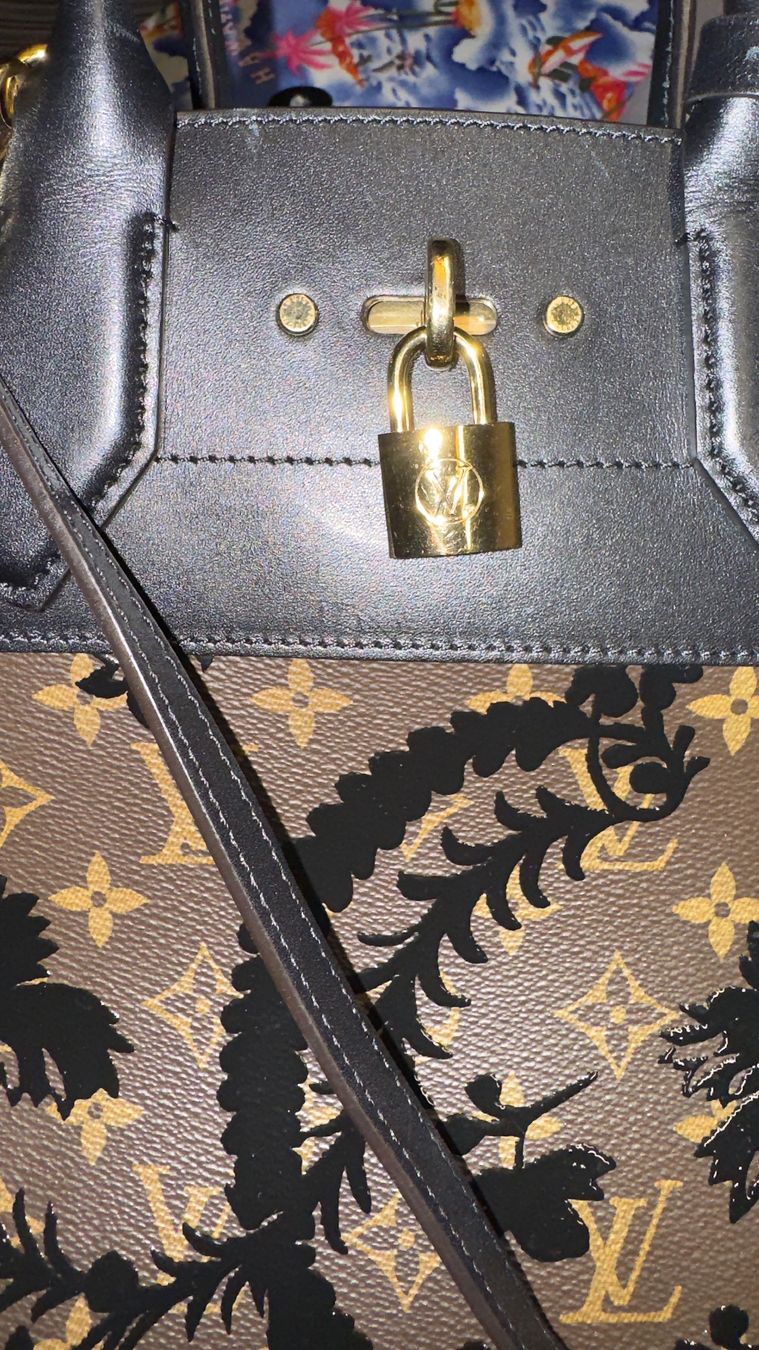 Louis Vuitton Borse: Louis Vuitton Limited Edition – Nuovo (secondo la descrizione) da Münchenbuchsee venduto da TemiAp 5