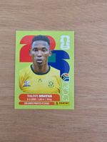 Panini Fifa RSA 12