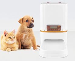 + 6L Futterautomat Futterspender Katze & Hunde, Hund Essen