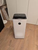 Clean Air Purifier & Dehumidifier: Breathe Easy This Autumn