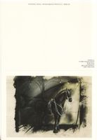 DK Rolf Knie, Friesisches Pferd, 1986