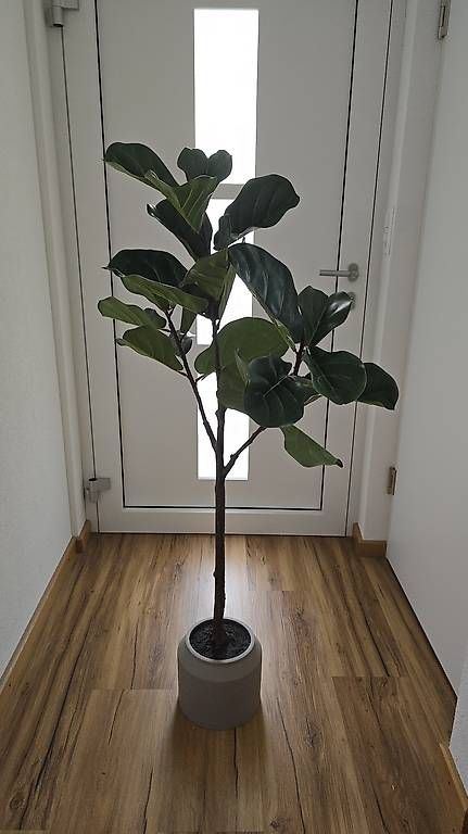 Pflanzen & Samen: Kunstpflanze Feigenbaum – Gebraucht aus Bazenheid von Exo_Tic 3