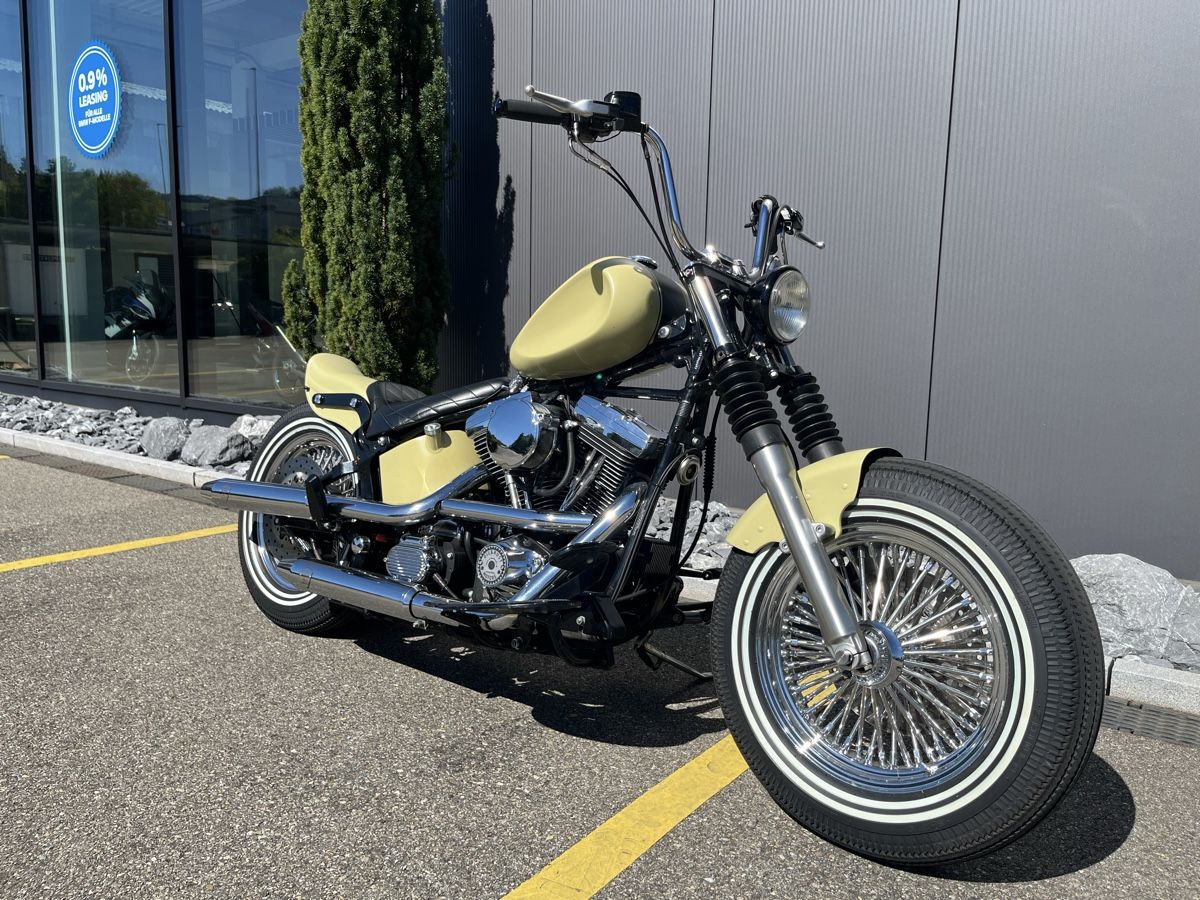 Harley-Davidson Chopper: Harley Evo Softail – Usato da Maur venduto da EvoPit 2
