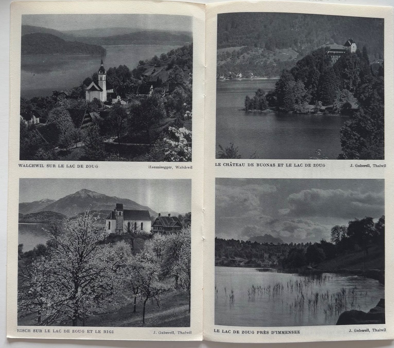 Ansichtskarten: Zug, Menzingen, Walchwil, Baar, Immensee, Albert Steiner – Gebraucht aus Frauenfeld von Merk52 4