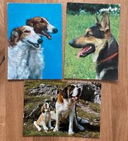 3 Hunde Postkarten, Schäfer, Windhund, Bernhardiner