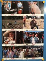 Milagro Der Krieg im Bohnenfeld Poster 