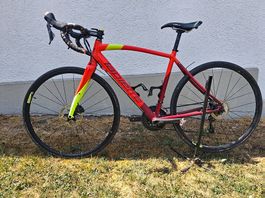 Gravel Lapierre Gr. 52cm