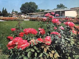 Gartenbauausstellung Zürich 1959   Karte