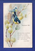 OISEAU - Mésange - Poème