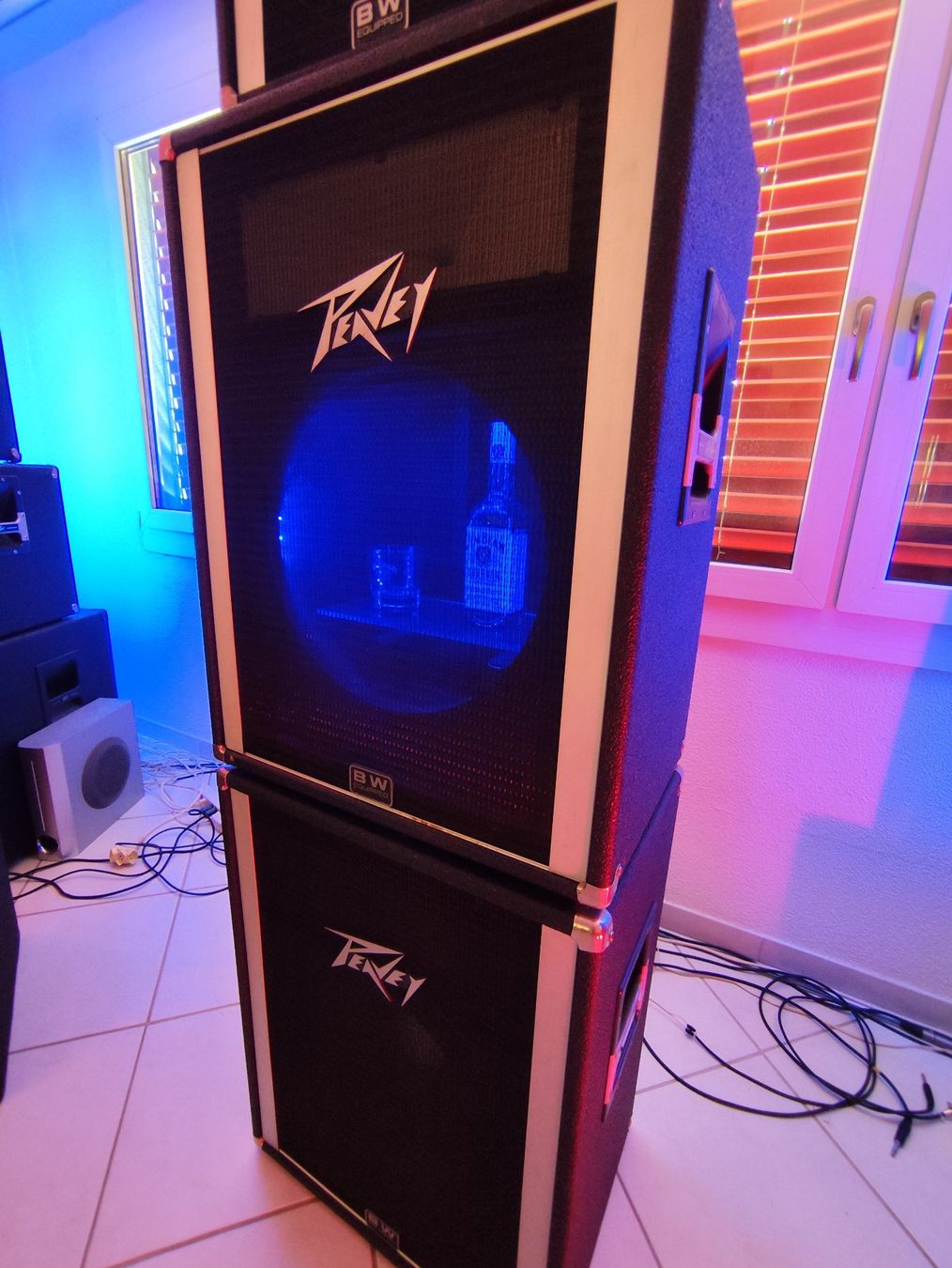 Peavey Casse acustiche: Männerhöhlen Party Anlage – Usato da Opfikon venduto da cuti2000 1