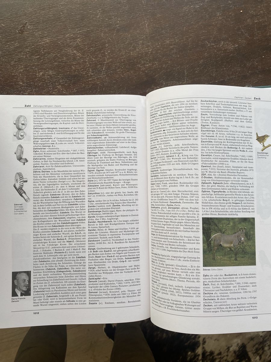 Libri: Neu- Der Brockhaus - 2 Bände – Nuovo (secondo la descrizione) da Samstagern venduto da mini22 1