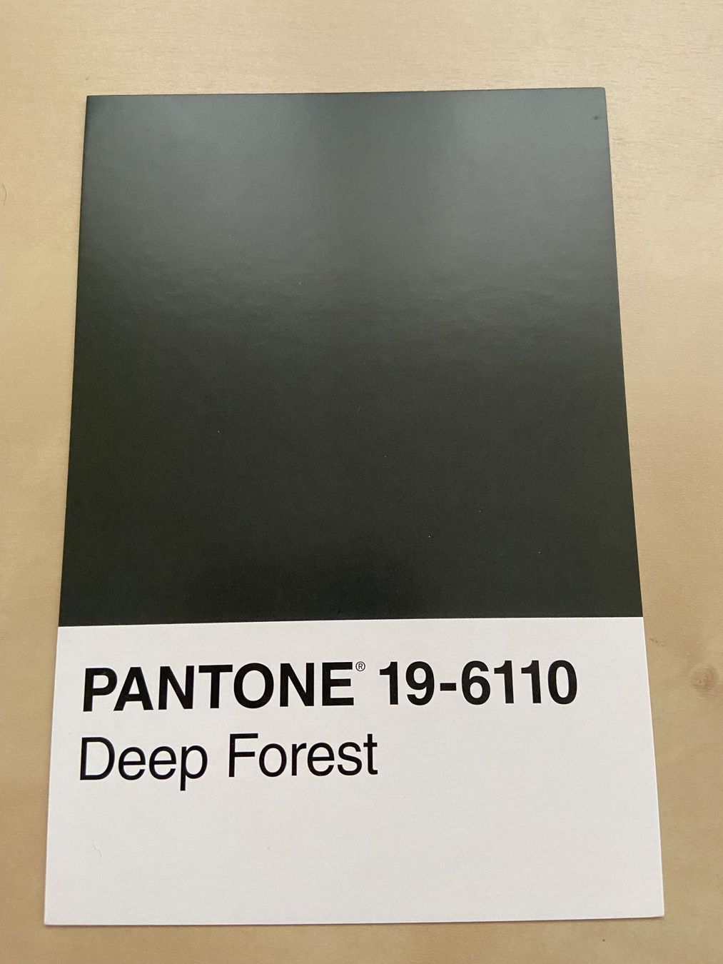 Ansichtskarten: Pantone Postkarte 19-6110 Deep Forest – Neu und originalverpackt aus Luzern von waterfront1