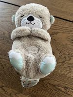 Fisher-Price Schlummer-Otter Spieluhr Einschlafhilfe